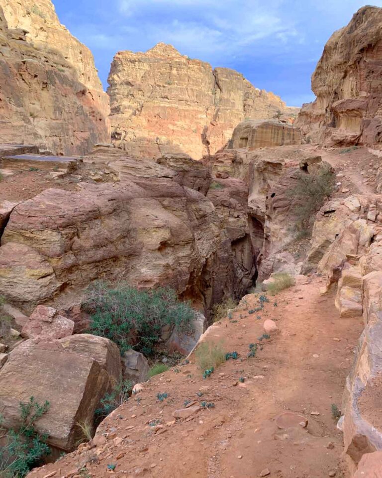 Treasury Viewpoint 2 trail